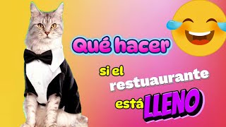 CHISTES contados por GATOS  cómo obtener MESA en RESTAURANTE lleno😹😹😹 [upl. by Antsirhc]