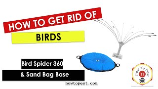 How To Get Rid of Pigeons and Seagulls  The Bird Spider 360 and Sandbag Base  BirdBGone [upl. by Adnert]