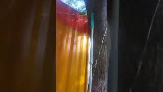 Container Cafeold containers reuseshortvideos YouTube shortsviral shots [upl. by Faline]