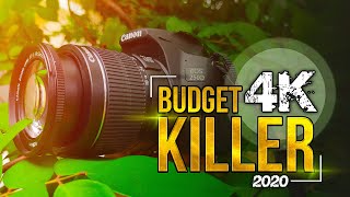 🇱🇰 Canon 250D in Depth Full review in Sinhala  Best Budget 4k Camera 2021 Sri Lanka [upl. by Tonl]