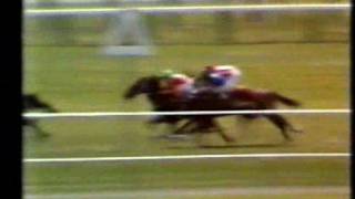 Show Gate NZ 1977 Trentham Stakes [upl. by Marlene]