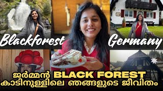 ജർമ്മൻ Blackforest കാട്ടിലെ ഞങ്ങളുടെ ജീവിതം  Our days in Blackforest Germany  Malayalam Vlog [upl. by Toy]