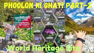 Phoolon Ki Ghati Part2 Detailed Video VALLEY OF FLOWER Uttarakhand Travel Vlog [upl. by Galvin730]