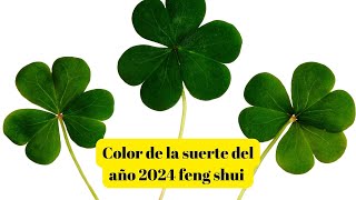 Color de la suerte del año 2024 feng shui [upl. by Nonah781]