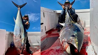 ATÚN GIGANTE ATACA PEZ VOLADORPESCA con CHIRINGA en San Diego CaliforniaEl Pescado de mis SUEÑOS [upl. by Thorpe]