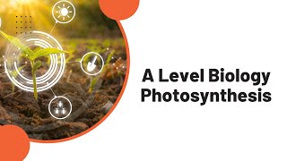 A Level Biology Photosynthesis [upl. by Erdnassac950]