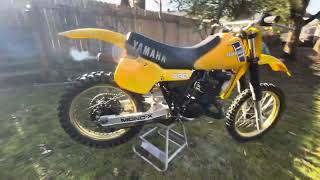 1982 Yamaha YZ490 WALK AROUND [upl. by Stockwell966]