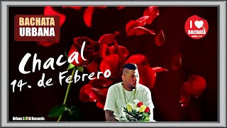 CHACAL  14 de Febrero  San Valentin  Te Amo Bachata Urbana [upl. by Rihsab405]