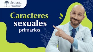 Caracteres sexuales primarios [upl. by Tatianas]