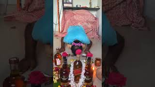 Whisky puja whiskey wine blenderspride redlabel reels shorts viralvideo viralshorts [upl. by Afatsum749]