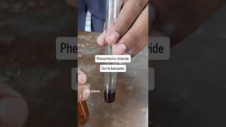 reaction of phenol with ferric chloride experiment science reels [upl. by Oiznun]