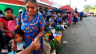 Un Recorrido por la Huasteca Veracruzana 😍 Domingo Grande en Tantoyuca Veracruz 🎻 [upl. by Yspyg]