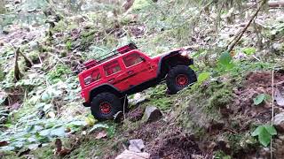 Part 16  Crawlerbande im Wernloch 10112024 crawler [upl. by Sorac]