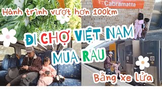 ĐI CHỢ VIỆT NAM CABRAMATTA BẰNG XE LỬA SẼ NHƯ THẾ NÀO SaHy VlogsCuộc sống Úc uc cabramatta [upl. by Kristine]