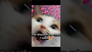 Jsjs obviamente no tengo besos robados solo tengo puros lápices robados 😭 [upl. by Renruojos]