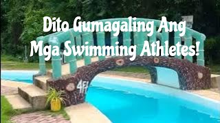 This is Where Swimming Champions are Trained  Tubig Loon Spring Park Loon Bohol [upl. by O'Meara]