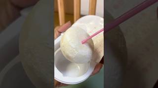 part 5 Mochi ഐസ്ക്രീം 😋Japan icecream series Japan Malayalam VlogJapan Lifemochi [upl. by Ariuqahs473]