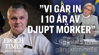 Johan Westerholm om lägesbilden med gängkriminella i Sverige [upl. by Darrej352]