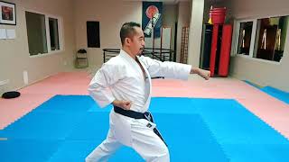 Junro Shodan  slow movent by EJ Kapawen  Kap Karate [upl. by Ahsir590]