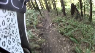 Downhill Mountain Biking Exit 27 Gladus Trail [upl. by Sullivan35]