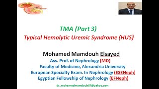 Typical Hemolytic Uremic Syndrome HUS [upl. by Nwahs]