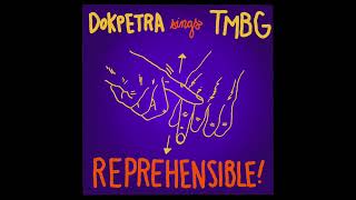 DOKPETRA  Reprehensible They Might Be Giants cover [upl. by Oirromed42]