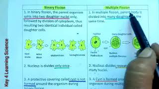 Q Difference between Binary fission and Multiple Fission  Asexual Reproduction  Class10 Science [upl. by Cohligan607]