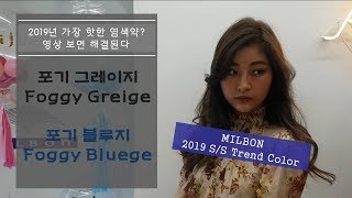 2019년 가장 핫한 염색  최초공개 밀본 SS 트랜드컬러 포기 그레이지 [upl. by Wise]