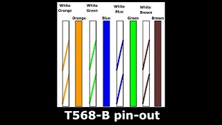 How To Replace RJ45 Network Patch Cable PLUG Cat5E DIY [upl. by Jea]