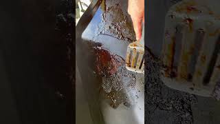 Pit Boss Gas Grill Easy Clean up [upl. by Ojimmas]