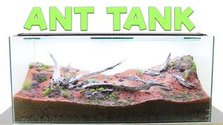 How to Build an Ant Farm  Natural Formicarium [upl. by Dyun]