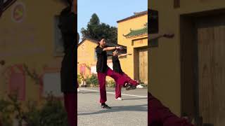 Shaolin amp Wudang Fusion  Students Training [upl. by Adala886]