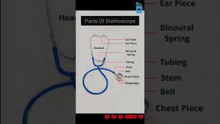 Parts of stethoscope doctor medicalstudent medical shorts [upl. by Panthea]