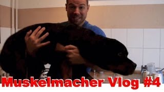 Muskelmacher Vlog 4  Qualität von Unterhosen und Hundefutter [upl. by Yetac]