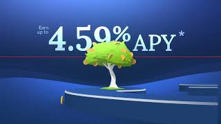 Earn Up to 459 APY with AllSouth Federal Credit Unions Premium Checking Account [upl. by Nylhtac]