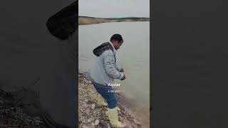 sazan çekmek music dance remix amapiano aynalı funny sazanavı turnabalığı phonk rap [upl. by Enier657]