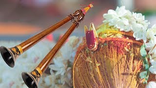 Nadaswaram Music – Mangala Vadyam  DrSheik Chinna Moulana – Carnatic Classical Instrumental Music [upl. by Llesig]