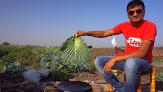 Indian Food Cooking Outdoor in a Village  One Pot Meal [upl. by Arathorn]