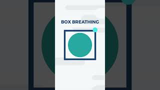 Box Breathing 4444  Paced Breathing  Dialectical Behavioral Therapy DBT  Distress Tolerance [upl. by Esme79]