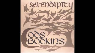 Ods Bodkins – Serendipity [upl. by Nyrual]