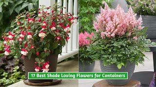 17 Best Shade Loving Flowers for Containers [upl. by Ayikaz819]