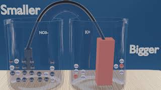 Galvanic cells explained in UNDER 5 MINUTES [upl. by Ahsiele]