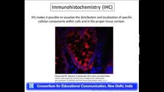 Antigen  Antibody Interactions Principles and Applications [upl. by Biles65]