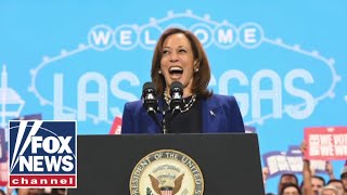 2024 outcome was ‘not a Kamala Harris problem’ Dem rep says [upl. by Egni]