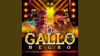 El Gallo Negro [upl. by Ely946]