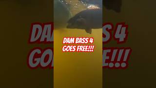 DAM Bass Goes Free 4 [upl. by Giverin972]