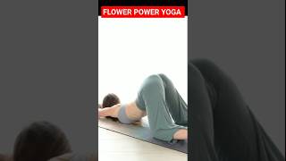 Yoga for Beginners II full body stretches yoga yogapractice shorts viralshort ytshort [upl. by Burford656]