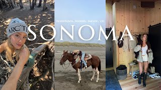 VLOG  Sonoma  hometown nature horses friends [upl. by Konrad216]