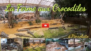 La Ferme aux crocodiles est un parc zoologique impressionnant situé à Pierrelatte dans la Drôme [upl. by Dietsche484]