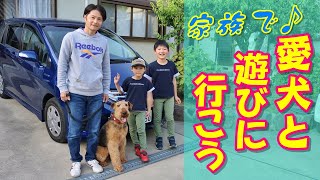 【完全保存版】愛犬とのお出かけを楽しもう♪持ち物や注意点を説明します【エアデールテリア】 [upl. by Asa]